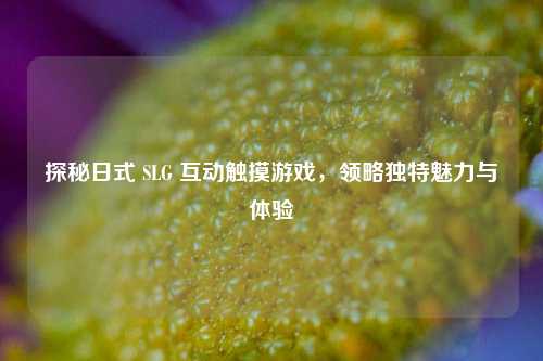 探秘日式 SLG 互动触摸游戏,领略独特魅力与体验