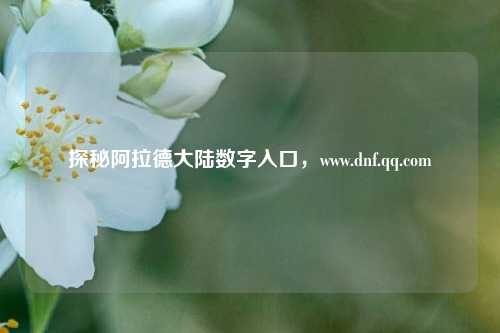 探秘阿拉德大陆数字入口，www.dnf.qq.com