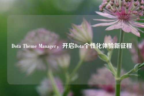 Dota Theme Manager，开启Dota个性化体验新征程