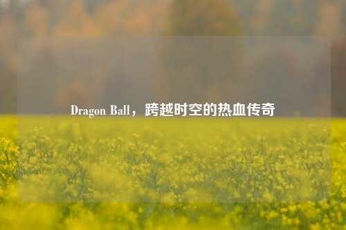 Dragon Ball，跨越时空的热血传奇