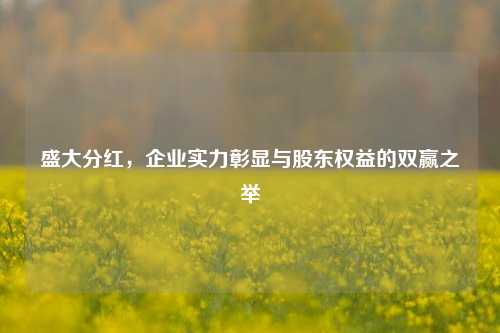 盛大分红,企业实力彰显与股东权益的双赢之举