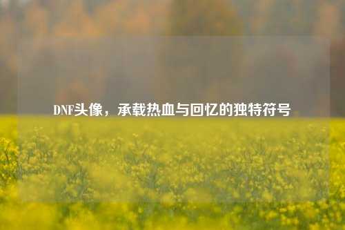 DNF头像,承载热血与回忆的独特符号
