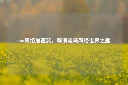 uuu网络加速器,解锁流畅网络世界之匙