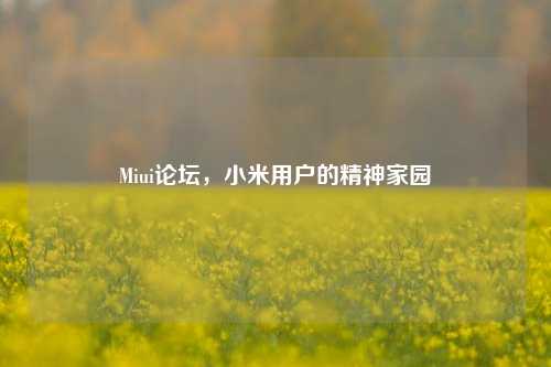 Miui论坛,小米用户的精神家园
