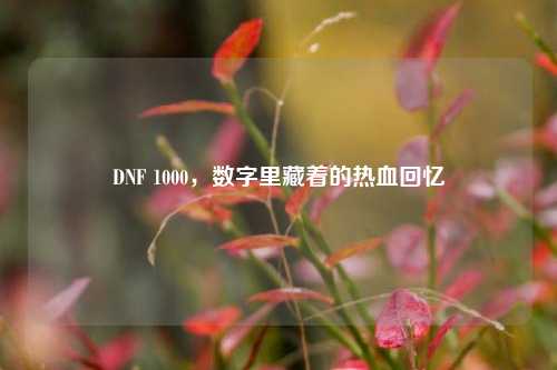 DNF 1000,数字里藏着的热血回忆