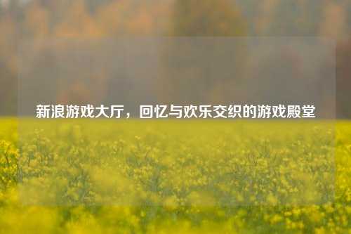 新浪游戏大厅,回忆与欢乐交织的游戏殿堂