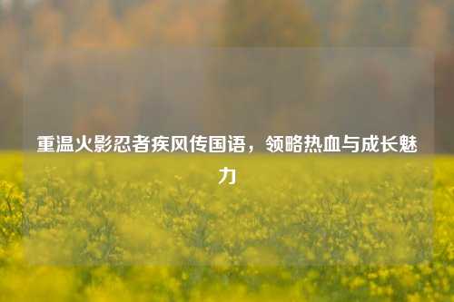 重温火影忍者疾风传国语,领略热血与成长魅力