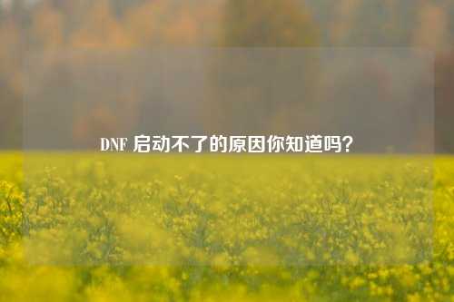 DNF 启动不了的原因你知道吗？