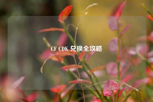 CF CDK 兑换全攻略