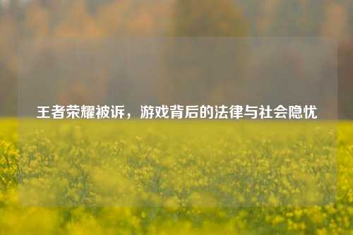 王者荣耀被诉，游戏背后的法律与社会隐忧