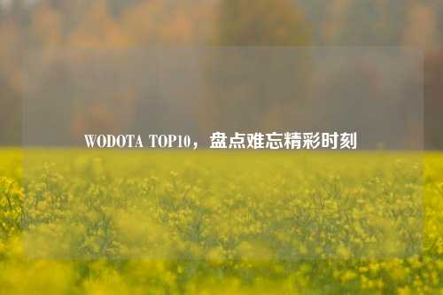 WODOTA TOP10，盘点难忘精彩时刻