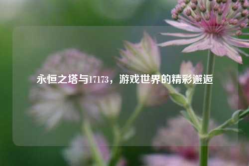 永恒之塔与17173，游戏世界的精彩邂逅