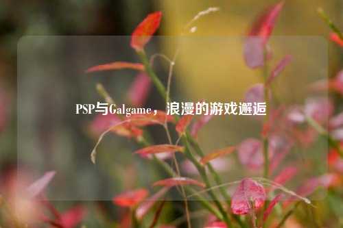 PSP与Galgame，浪漫的游戏邂逅