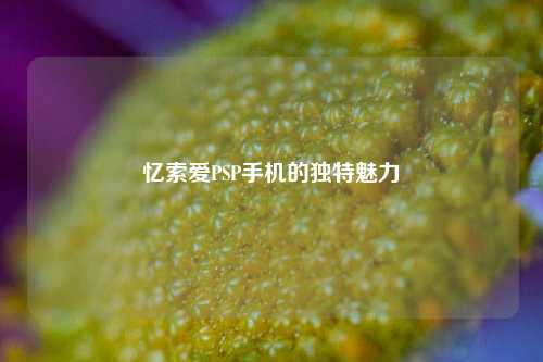 忆索爱PSP手机的独特魅力
