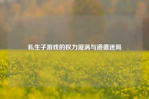 私生子游戏的权力漩涡与道德迷局